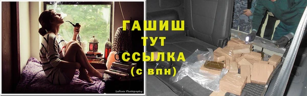 сатива Горно-Алтайск