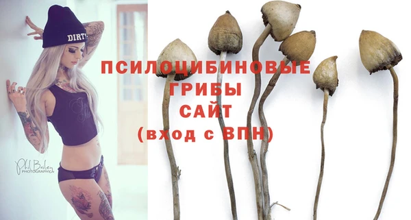 прущая мука Горняк