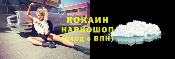 сатива Горно-Алтайск