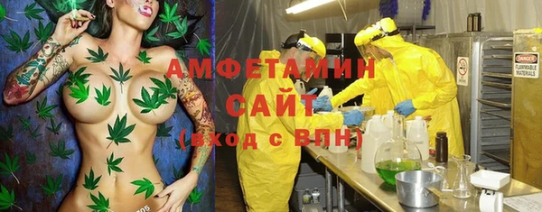 сатива Горно-Алтайск