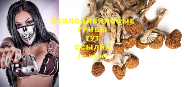 прущая мука Горняк