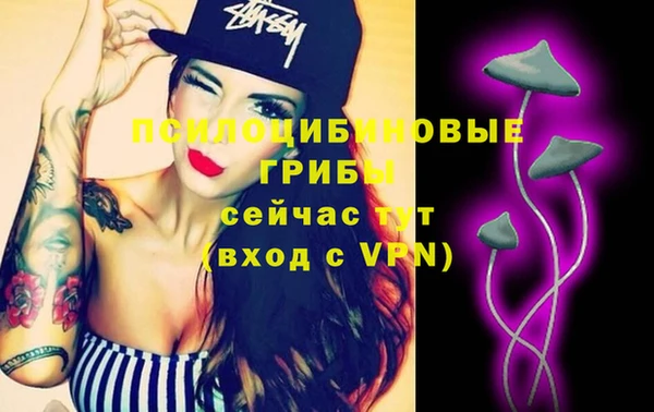 прущая мука Горняк