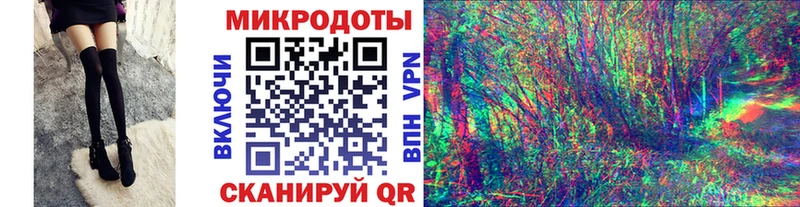 Купить где  Игарка  Галлюциногенные грибы Psilocybe 